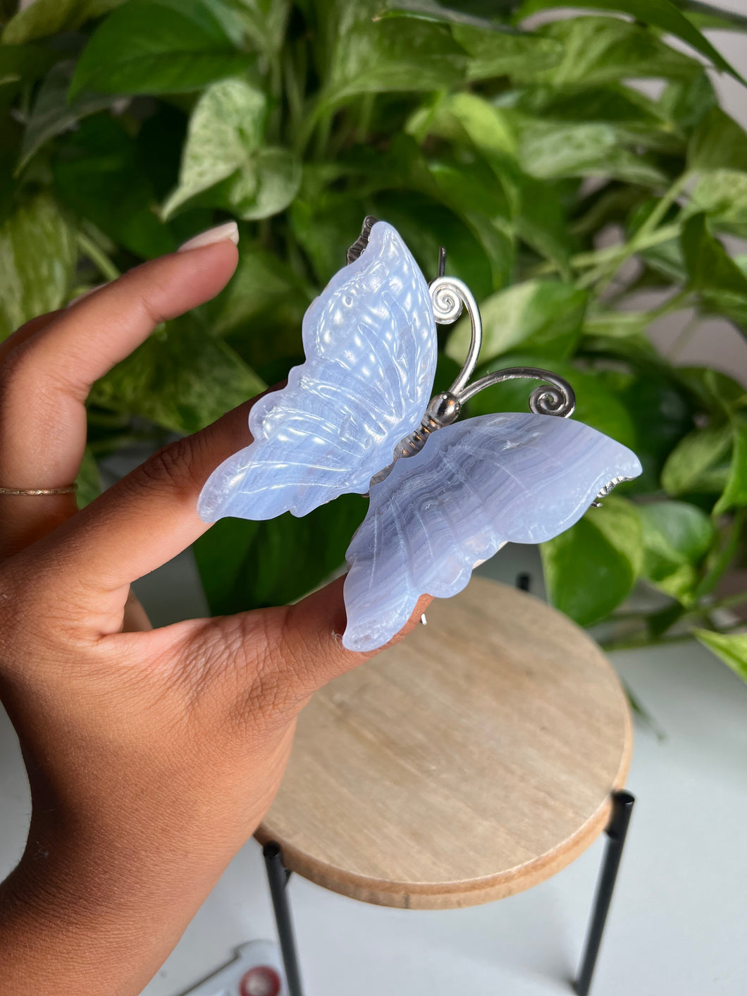 Blue Lace Agate Butterfly