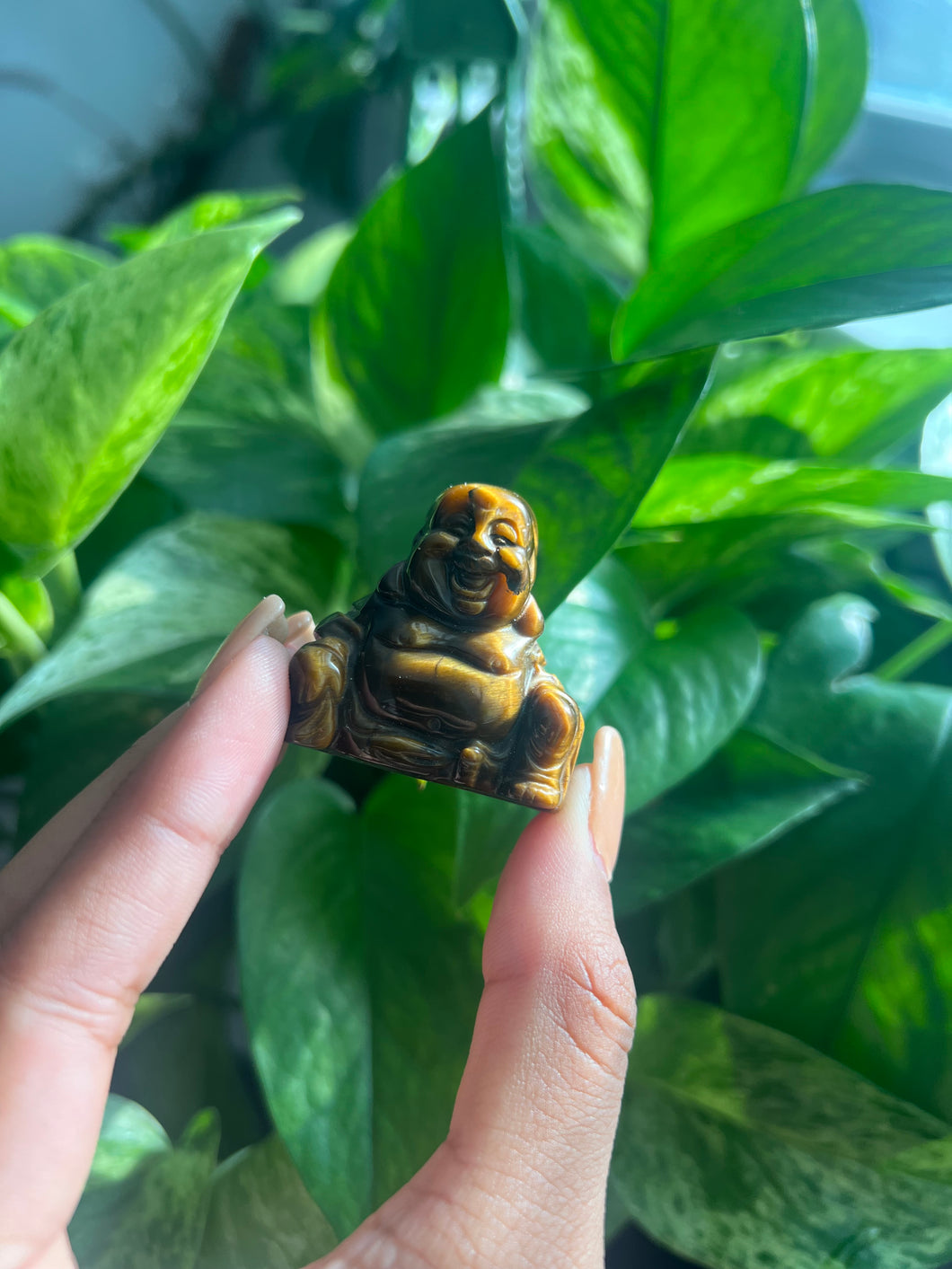 Tiger Eye Buddha