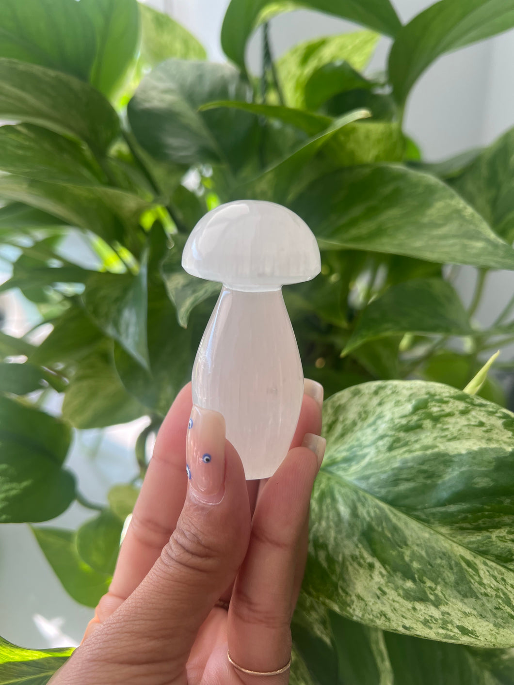 Satin Spar (Selenite) Mushroom