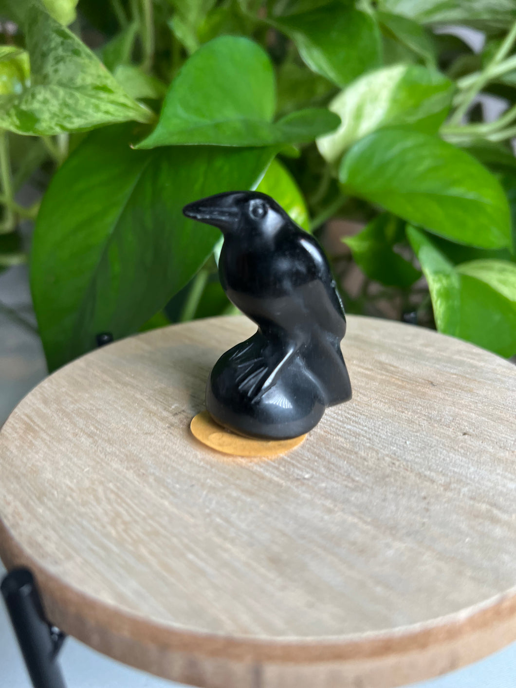 Black Obsidian Raven