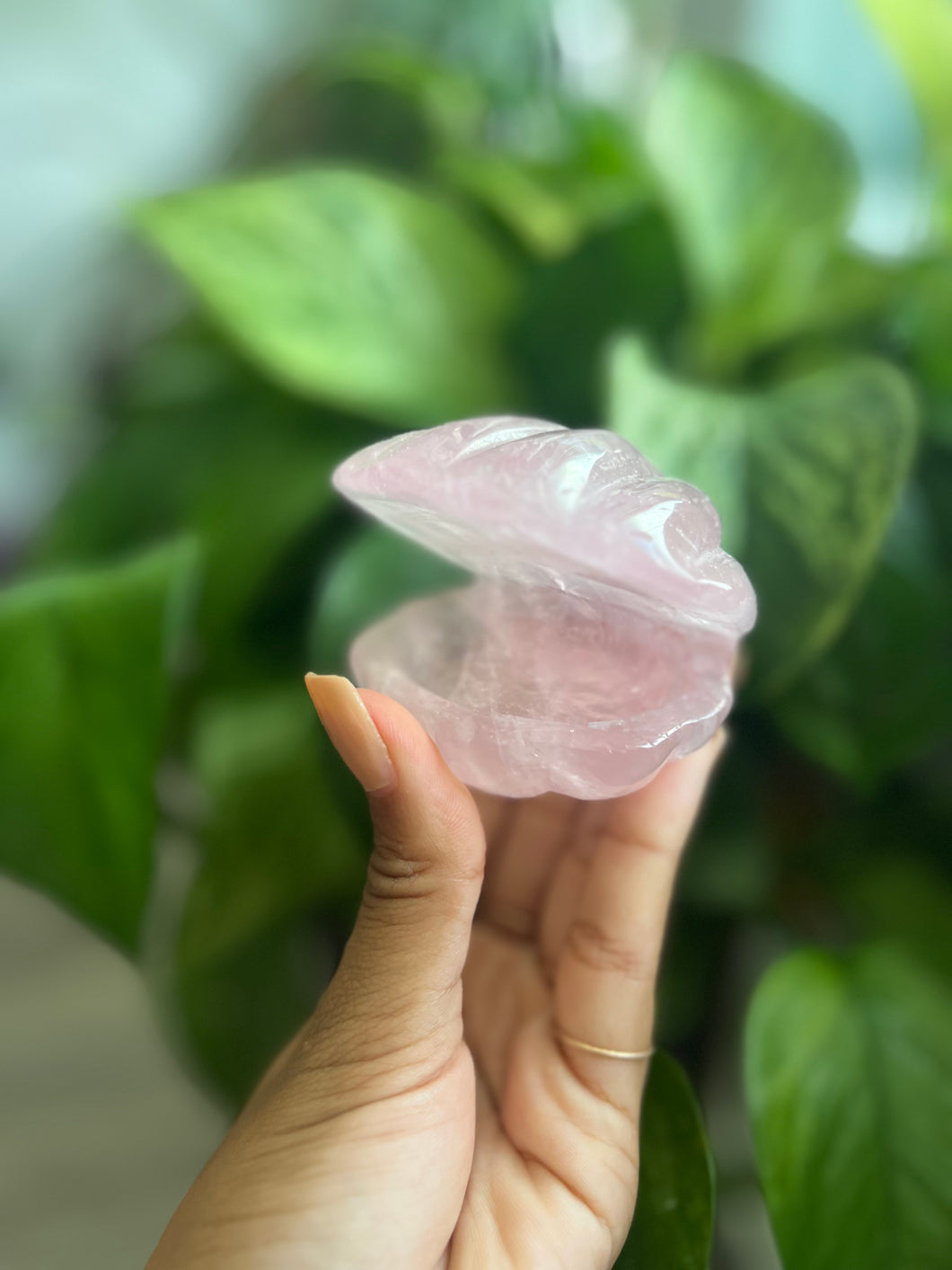 Rose Quartz Seashell Bowl