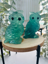 Load image into Gallery viewer, Fluorite Owl
